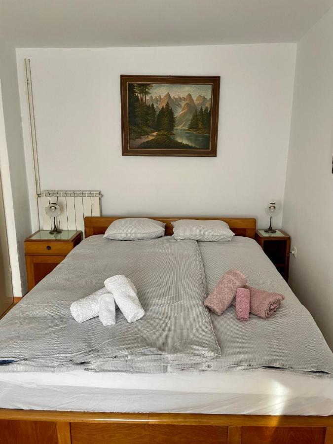 Apartmán Apartma Pri Soci Bovec Exteriér fotografie