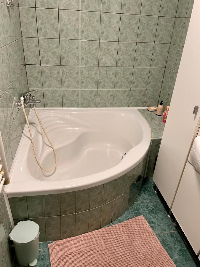 Apartmán Apartma Pri Soci Bovec Exteriér fotografie